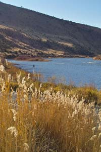 Townsend Montana